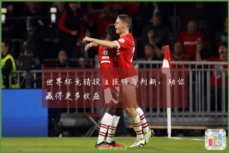 世界杯竞猜投注技巧与判断，助你赢得更多收益
