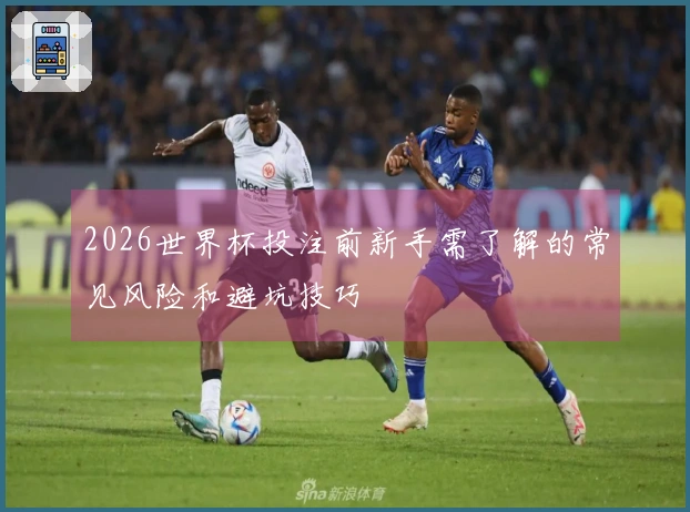 2026世界杯投注前新手需了解的常见风险和避坑技巧
