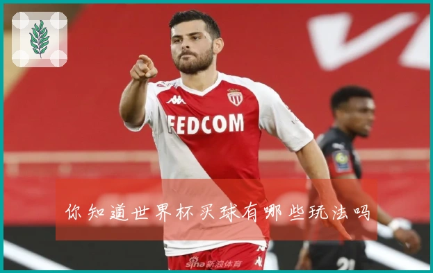 你知道世界杯买球有哪些玩法吗
