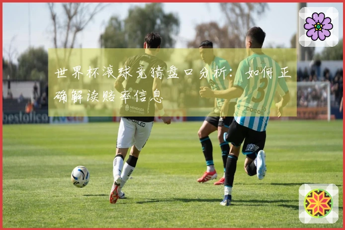 世界杯滚球竞猜盘口分析：如何正确解读赔率信息