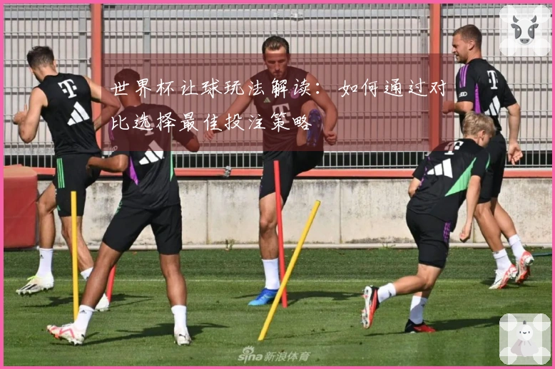 世界杯让球玩法解读：如何通过对比选择最佳投注策略