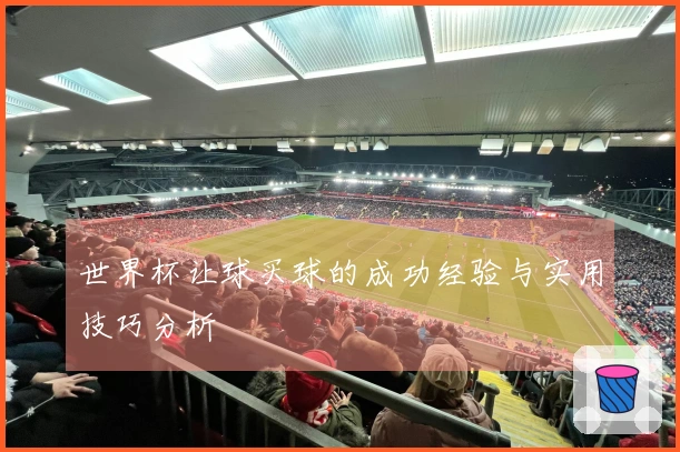 世界杯让球买球的成功经验与实用技巧分析