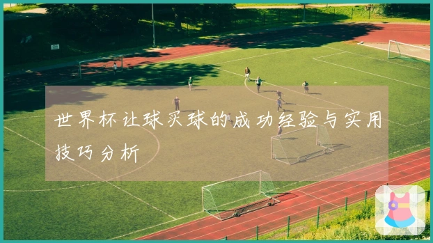 世界杯让球买球的成功经验与实用技巧分析