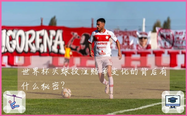 世界杯买球投注赔率变化的背后有什么秘密？
