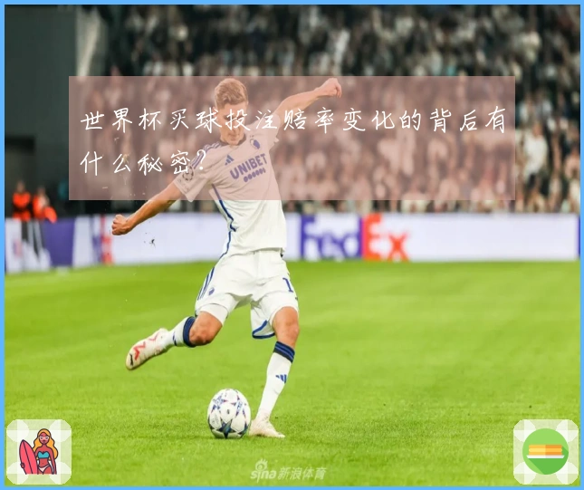 世界杯买球投注赔率变化的背后有什么秘密？