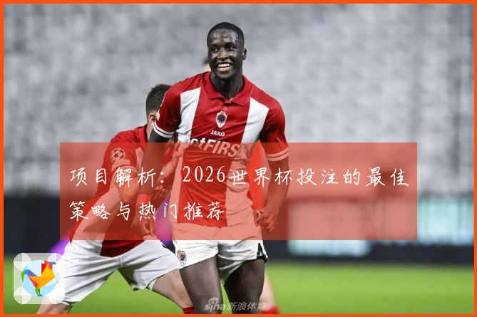 项目解析：2026世界杯投注的最佳策略与热门推荐