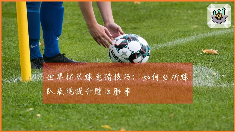 世界杯买球竞猜技巧：如何分析球队表现提升赌注胜率