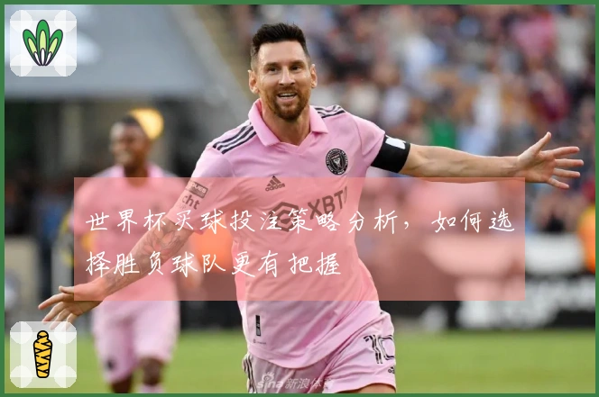 世界杯买球投注策略分析，如何选择胜负球队更有把握
