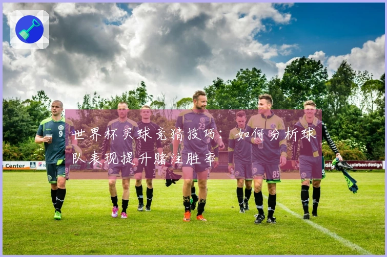 世界杯买球竞猜技巧：如何分析球队表现提升赌注胜率