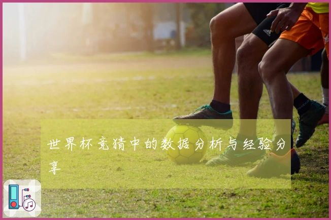 世界杯竞猜中的数据分析与经验分享